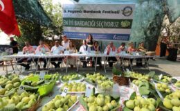 İzmir’de Payamlı Bardacık Festivali’ne büyük ilgi